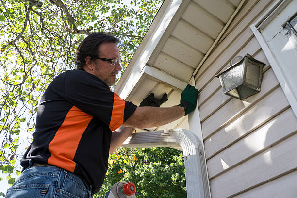 Best Custom Siding Design  in Hobart, WI